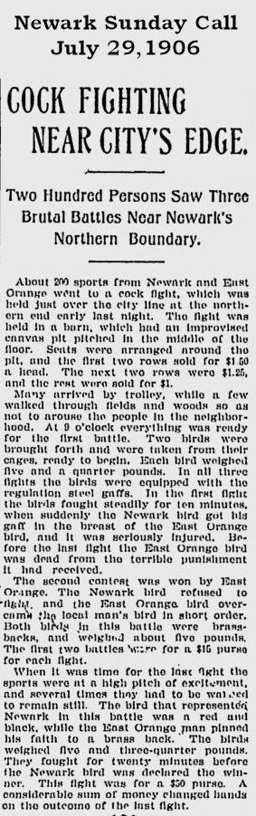 Cock Fighting Near City's Edge
July 29, 1906
