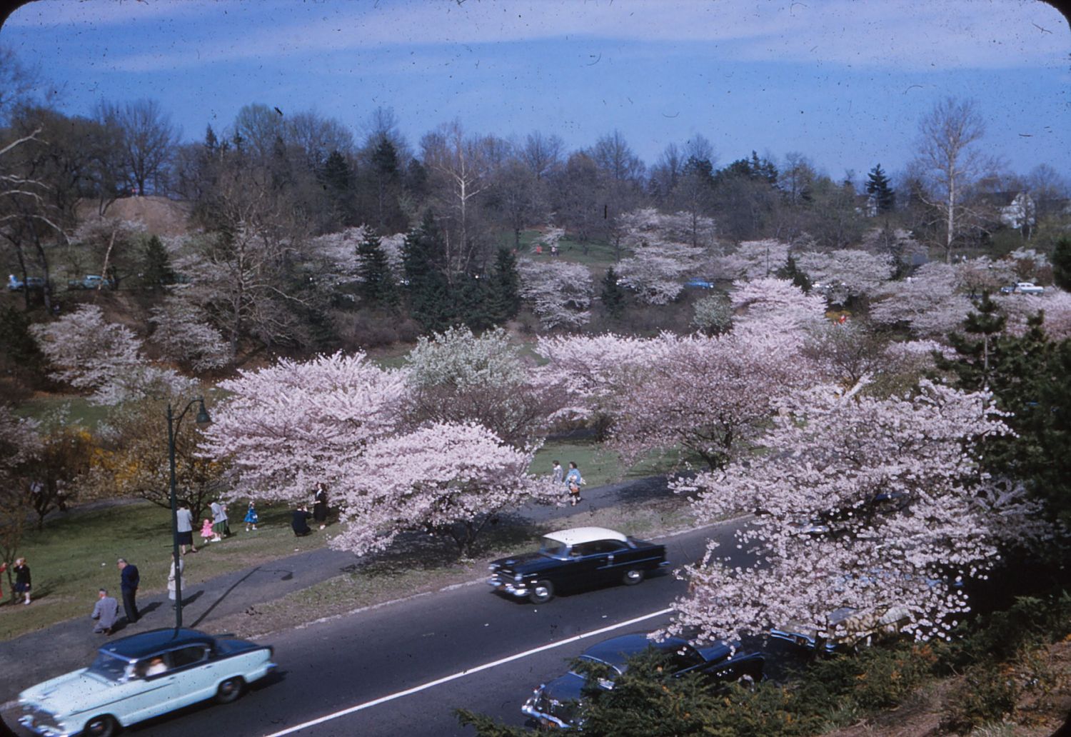 1957
Photo from Bill Ridge
