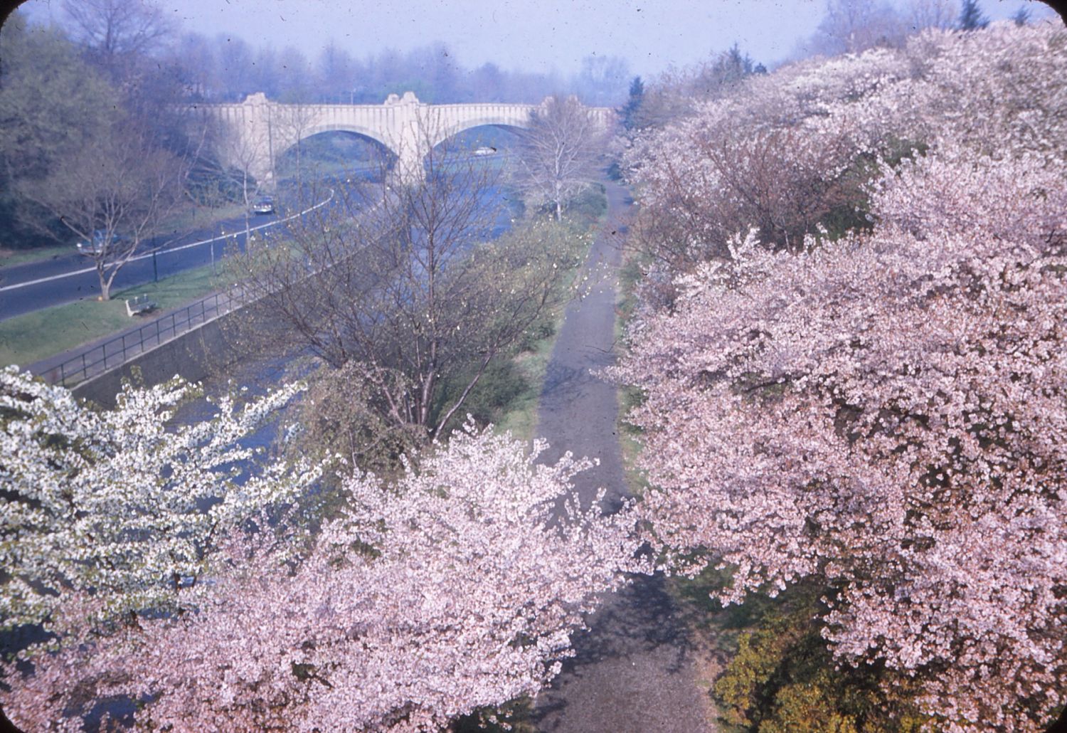 1957
Photo from Bill Ridge
