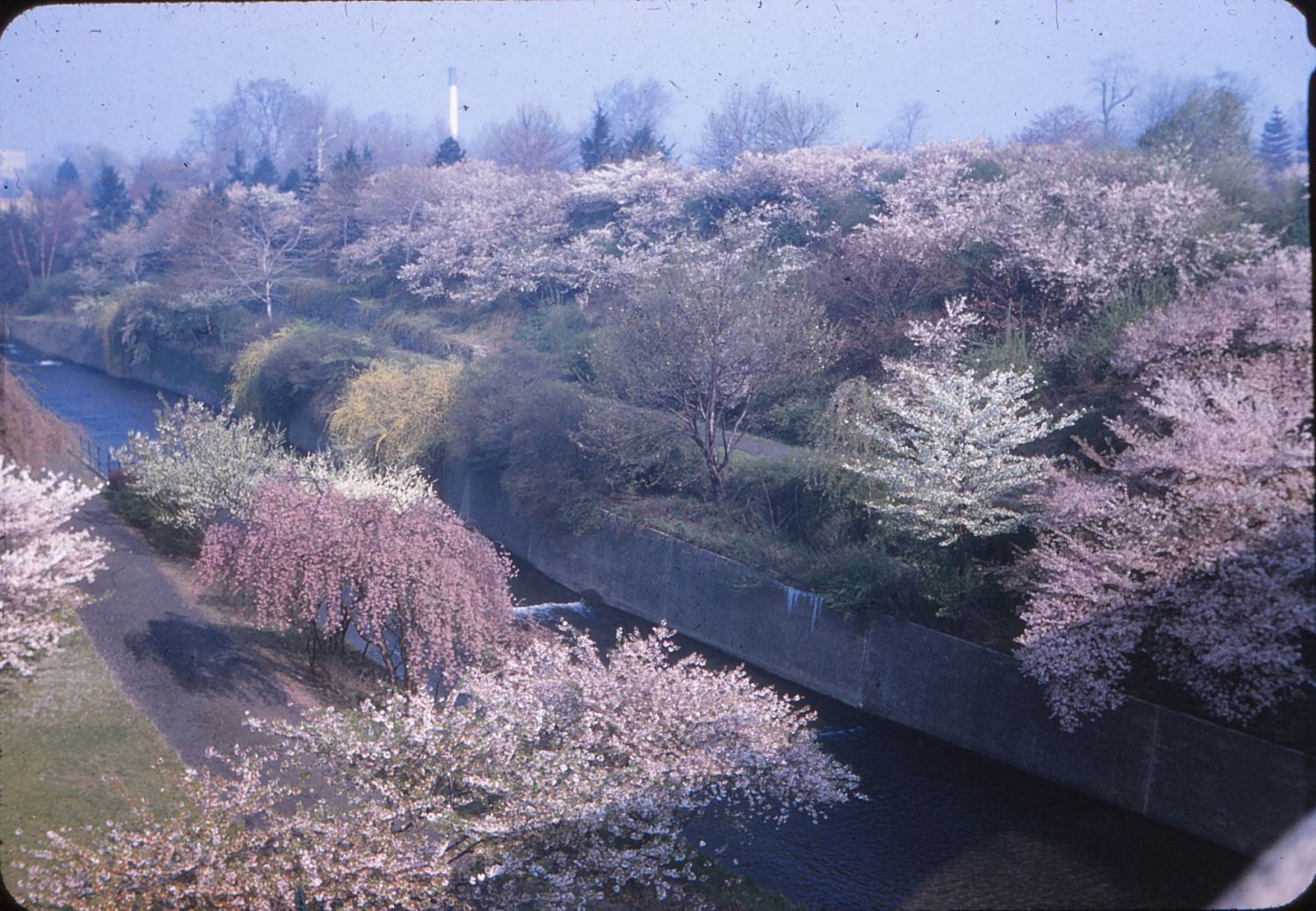 1957
Photo from Bill Ridge
