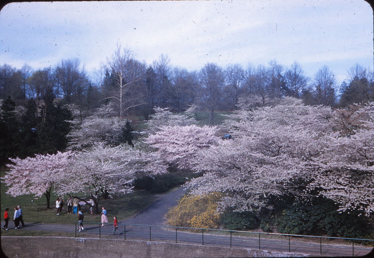 1957
Photo from Bill Ridge
