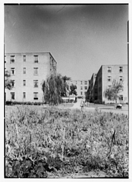 1944
Photo from the Library of Congress.
