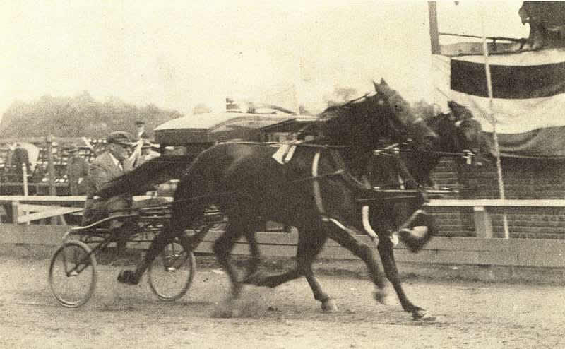 Happy The Great & Great Laurel Lady
Image from the Dec 10, 1930 Horse Review 
Courtesy of Don Daniels
