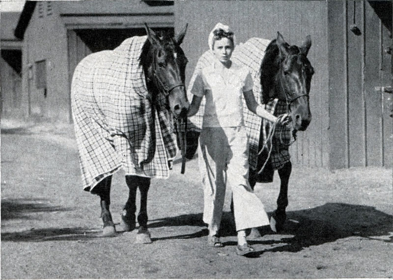 Cooling Out Process
A young lady doubles in single harness leading two horses in the cooling out process.

Photo from the June 1930 issue of Harness Horse
Photo courtesy of Don Daniels

