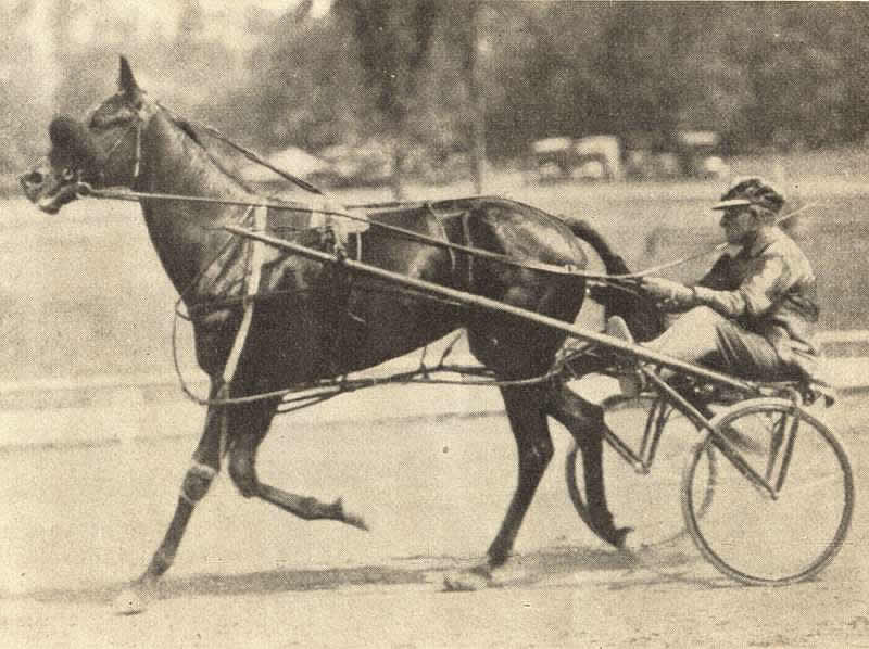 Prince W - rider Will Hodson
Image from the Dec 10, 1930 Horse Review 
Courtesy of Don Daniels
