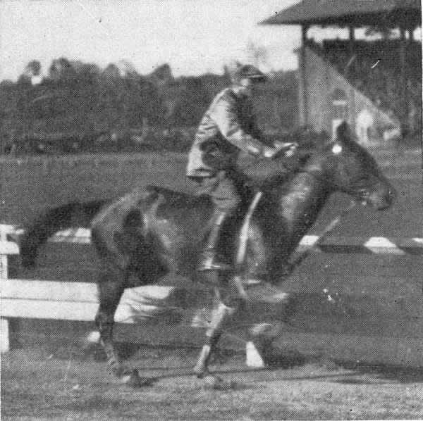 Bean, Peter
Image from the Oct 27, 1927 Trotter and Pacer magazine courtesy of Don Daniels
