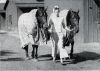 Filename=LadyCoolingTwo.jpg
Filesize=152KiB
Dimensions=800x571
Date added=Mar 12, 2013 LadyCoolingTwo.jpg