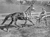 Filename=weehorserace13henrymillernews.jpg
Filesize=208KiB
Dimensions=1000x735
Date added=Dec 16, 2017 weehorserace13henrymillernews.jpg