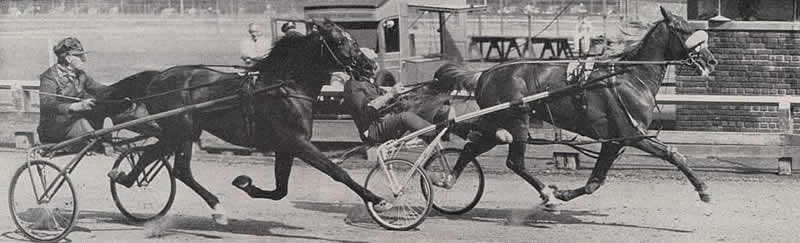 Matinee Finish
Image from the Dec 16, 1942 Harness Horse magazine (defunct).
"Road Horse Association of NJ" (aka Gentleman's Driving Club).

Courtesy of Don Daniels  
