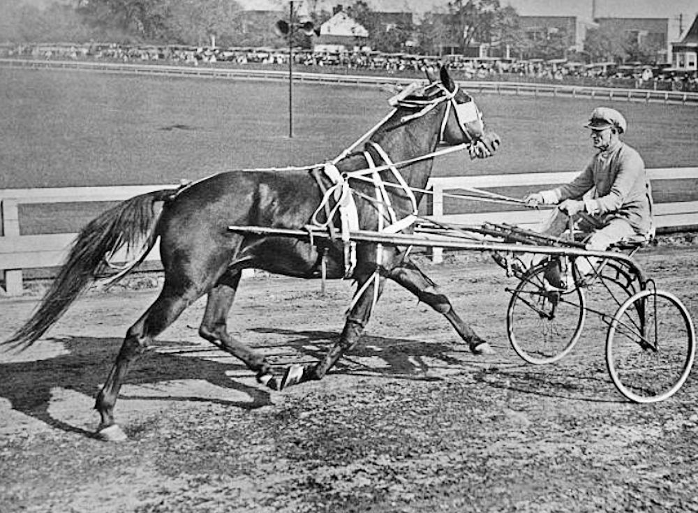 Putting the Cart before the Horse
An unusual harness race, with the driver facing backwards, takes place at Weequahic Park, Newark, New Jersey, 17th October 1928. 

Photo by Henry Miller News
