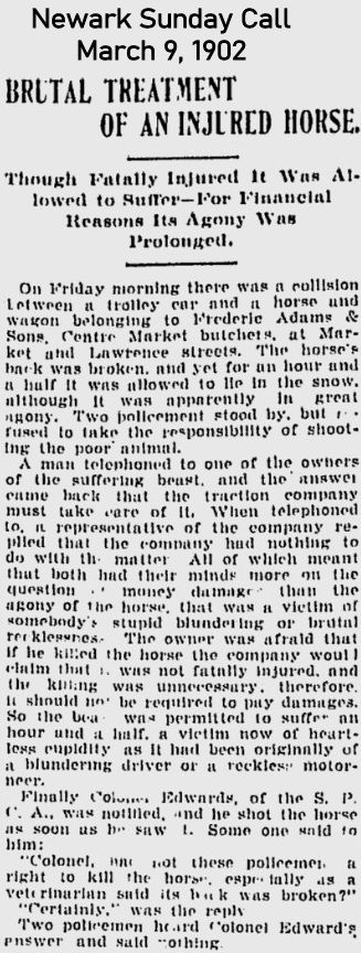 Brutal Treatment of an Injured Horse
March 9, 1902
